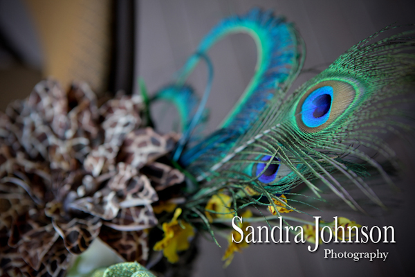Best Brevard Zoo Wedding Photographer - Sandra Johnson (SJFoto.com)
